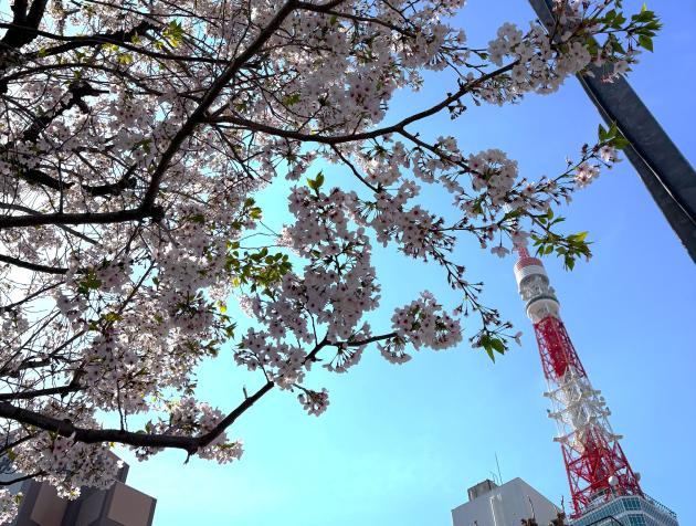 初々しい季節に、当社にも新しい仲間が加わりました